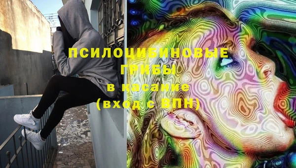 мяу мяу мука Алексеевка